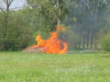 verbranden hout in weide