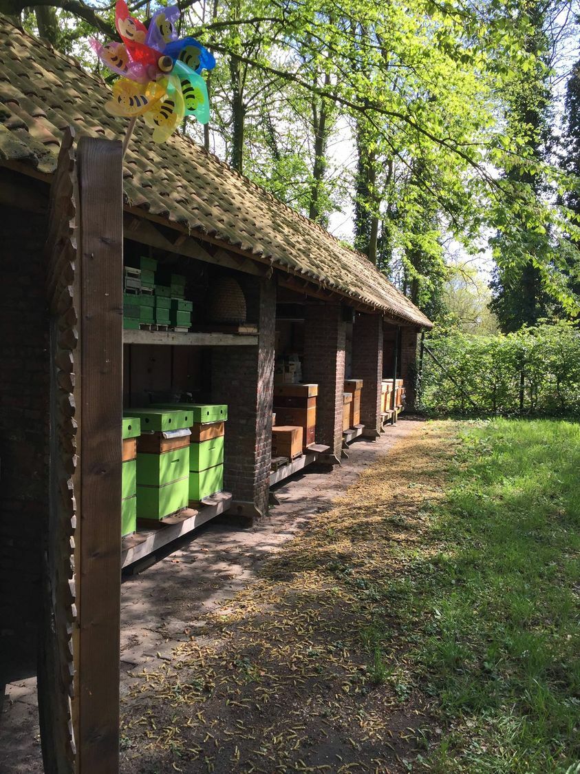 bijenhal
