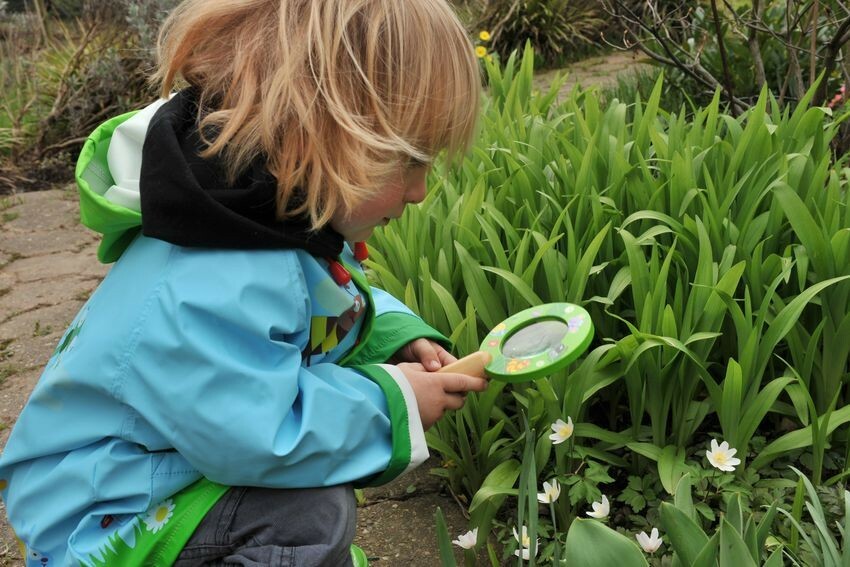 INSECTEN EN KRIEBELS