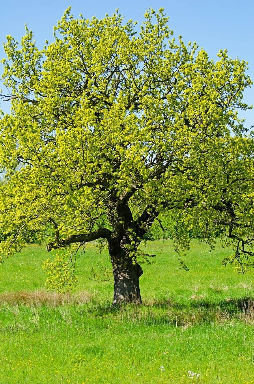 lentewandeling