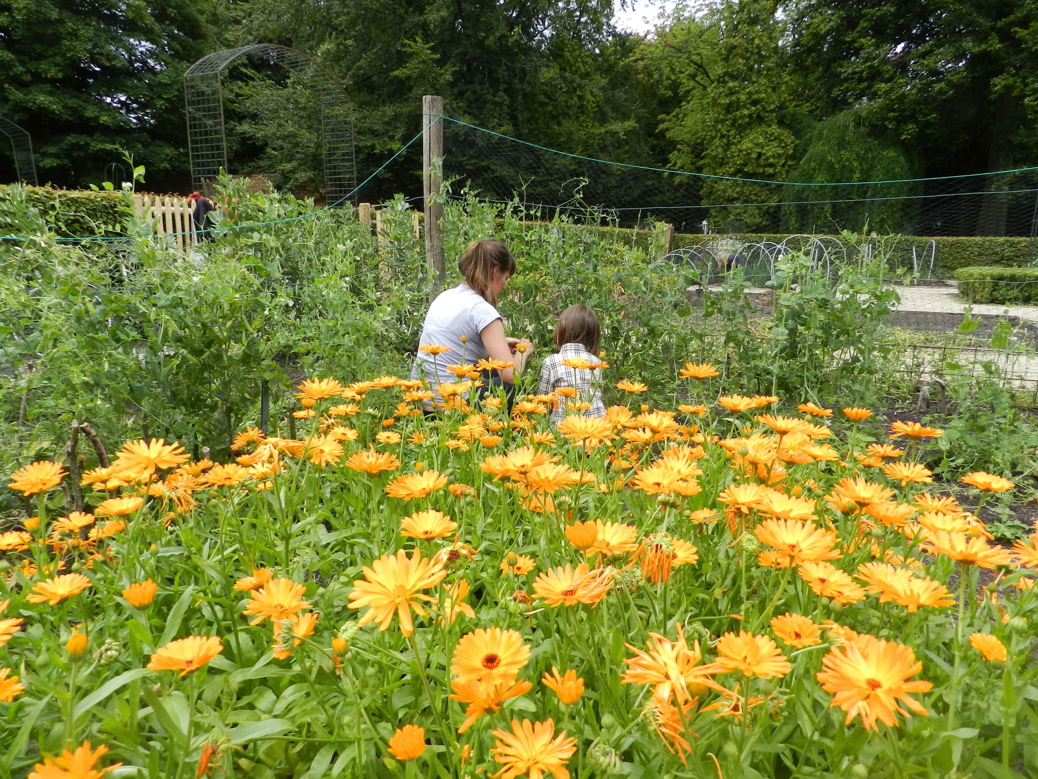 velttuin