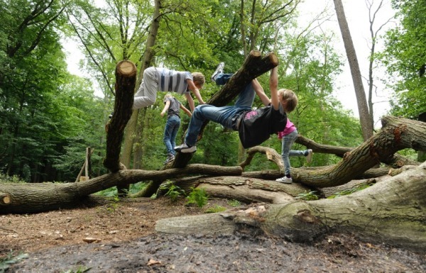 week van het bos 2019