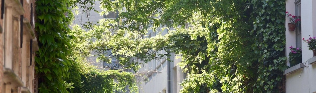 Groenslingers_tuinstraten.be