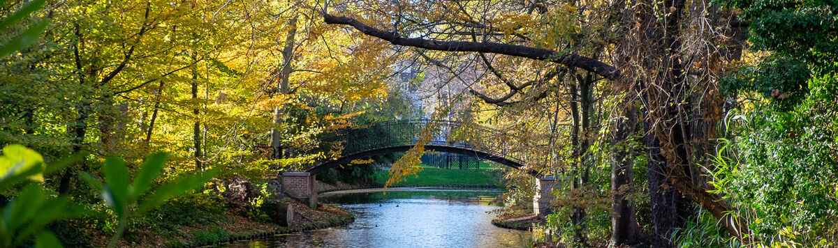 herfst-in-mechelen