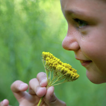 spelen in het groen