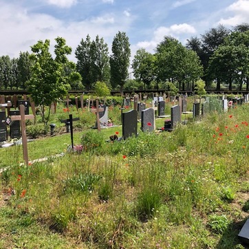 Foto volle grond begraafplaats Mechelen