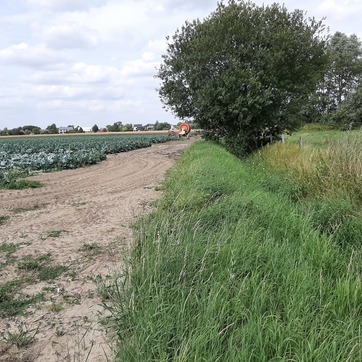 Regenwater hergebruiken voor landbouw