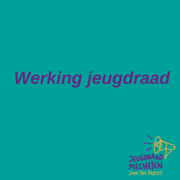 Werking jeugdraad