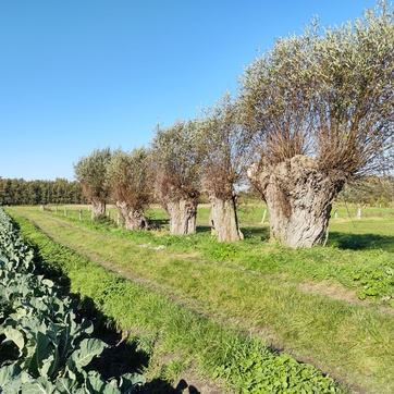 Landschapsbeheer