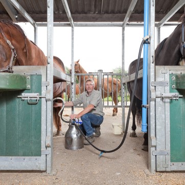 Paardenmelkerij De Beck