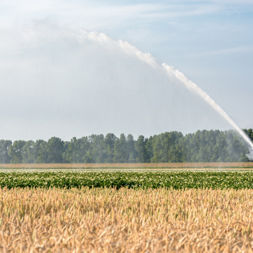 Water voor landbouw