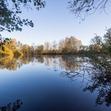 Bos- en natuurgebieden