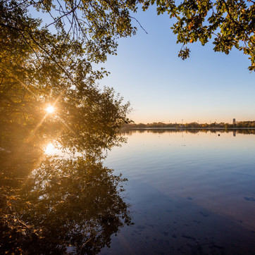 Ontdek de Mechelse natuur