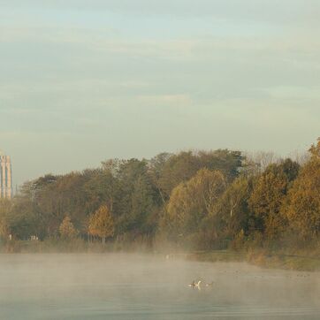 Wetlands4cities