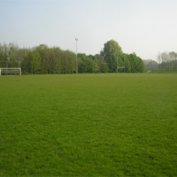 Buitensportgrasvelden