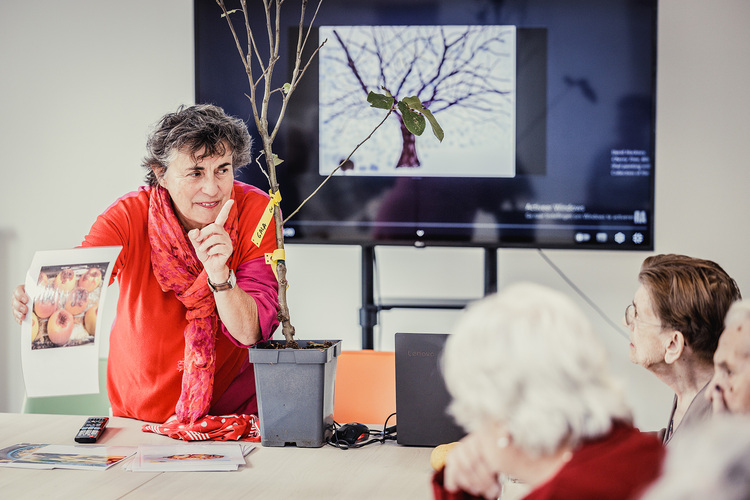 Persoon geeft uitleg vooraan in de klas bij verschillende oude fruitsoorten, ze houdt een afbeelding van fruit omhoog. Op tafel staat ook een jonge boom in een pot. Bewoners van het woonzorgcentrum kijken en luisteren aandachtig.