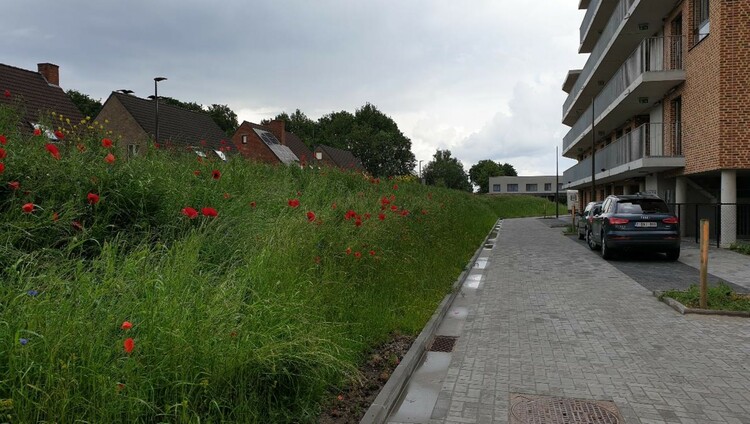 Woonerf Gandhistraat