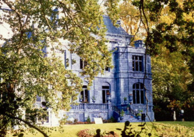Kasteel in het blauw - kunst