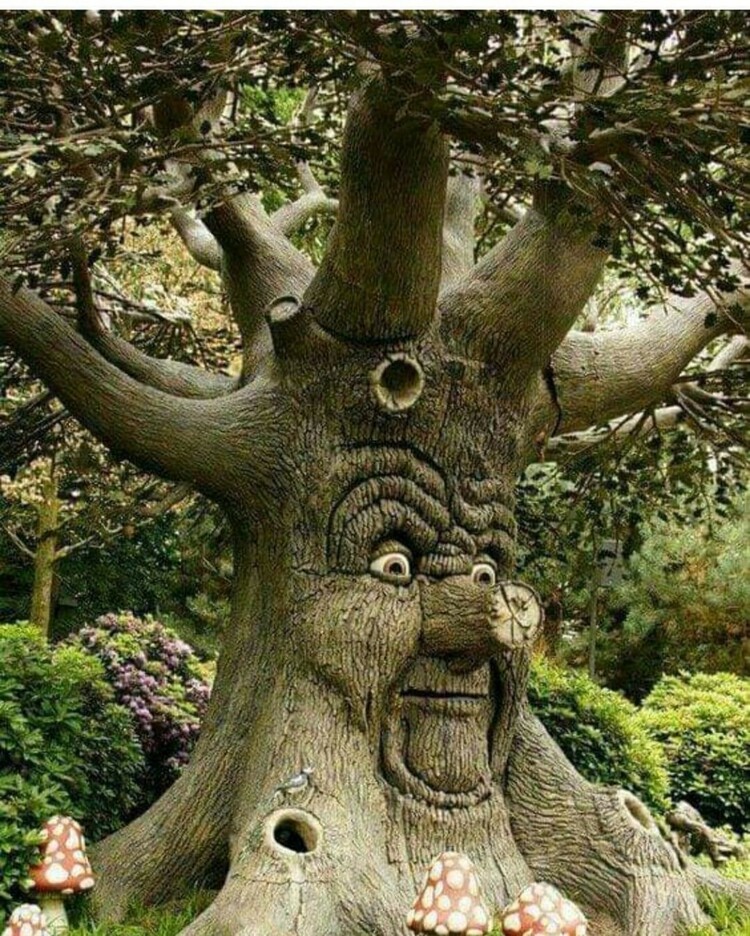 Als bomen  vertellen