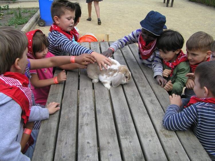 Kinderen aaien een konijntje tijdens de boerderijwandeling.