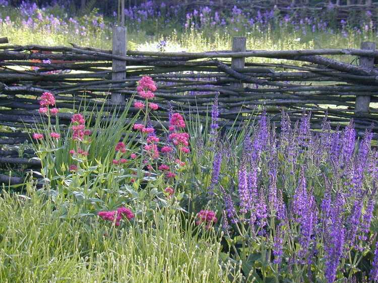 De bijenborder met veelkleurige bloemen.