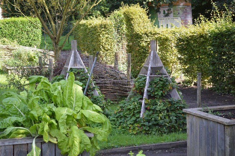 Kringlooptuin