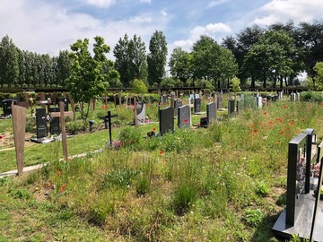 Foto volle grond begraafplaats Mechelen