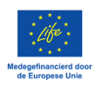 EU logo