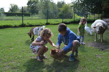 Verschillende kinderen aaien boerderijdieren