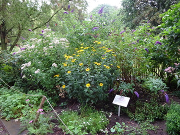 Vlindertuin
