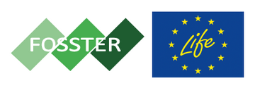logo Fosster