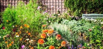 Workshops duurzaam tuinieren