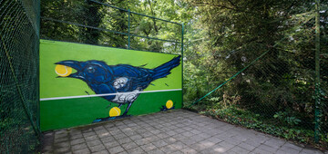 🌿 Kunst & natuur ontdekken?
