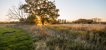 Deelnemers gezocht voor studie over natuurverbondenheid in het Vrijbroekpark