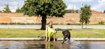 Drinkwaterpunten, koele plekken en andere tips tegen hitte