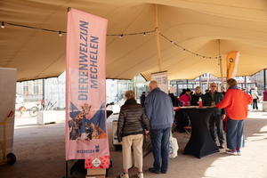 Standje dierenwelzijn Mechelen op de Veemarkt tijdens Erfgoeddag