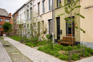 Zicht op het groene woonerf van de Korte Veluwestraat