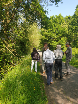 In het weekend van 27 mei wandelde kunstenares Anne Daems met Muizenaars door het Mechels Broek en de Barebeekvallei. Tijdens de wandeling kwam iedereen meer te weten over de wilde planten en hun eigenschappen, toepassingen en gebruiken. Zo kreeg ook de natuur een stem. 