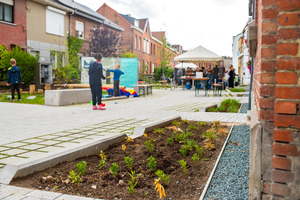 De eerste plantjes beginnen te bloeien en zorgen voor kleur in de straat. 