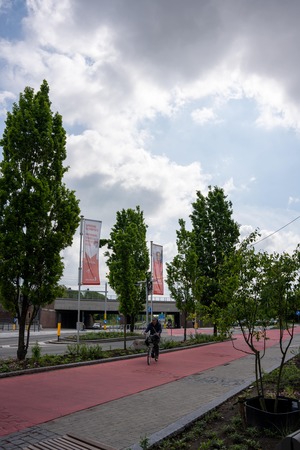 Minder tegels, meer groen op het Hoogstratenplein.&nbsp;