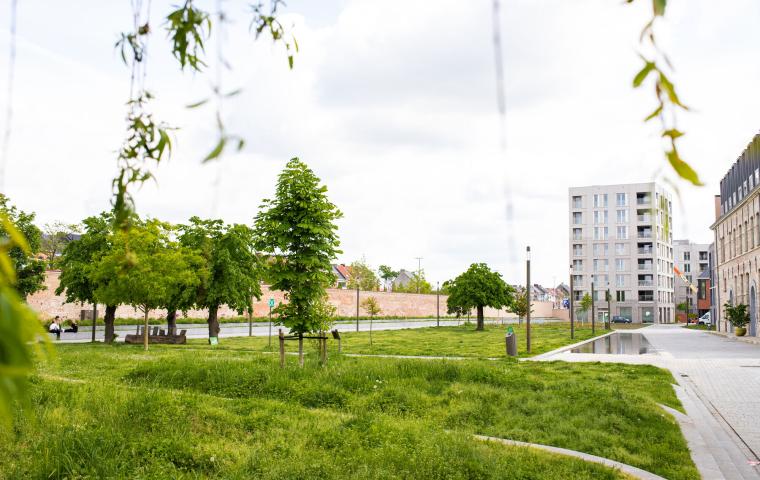 Sfeerbeeld van het Tinelpark