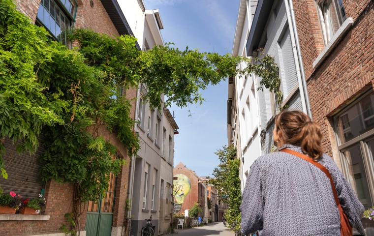Groenslinger in een Mechelse straat