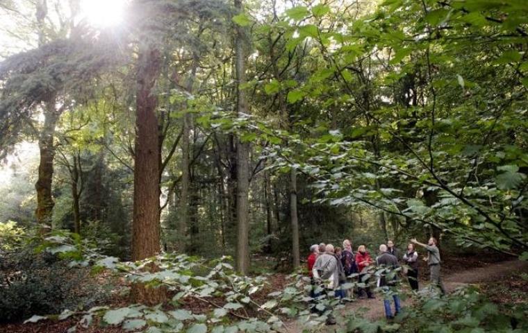 Mensen luisteren in het bos naar de uitleg van de boswachter