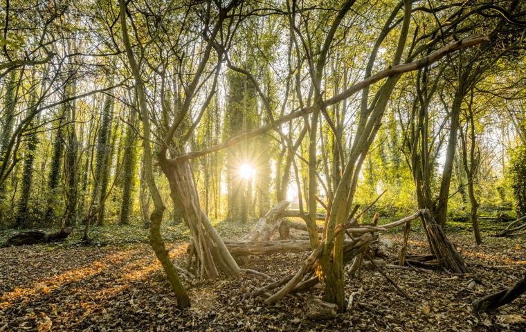 Een kamp gebouwd door kinderen in het bos in Leest.