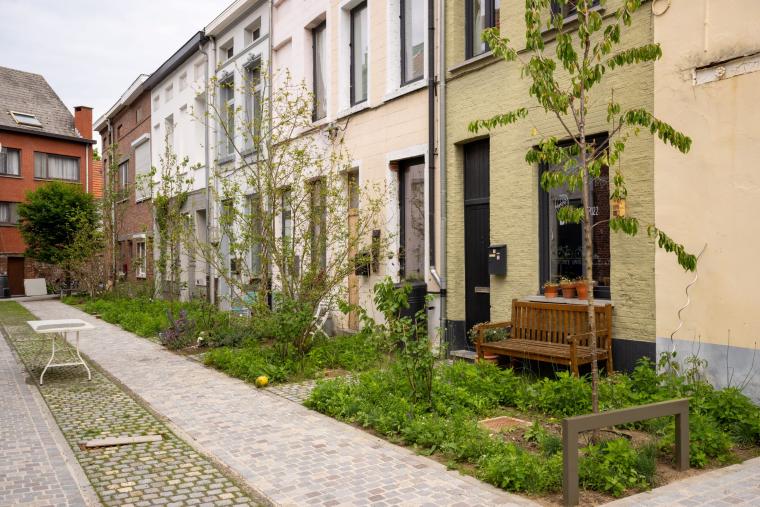 Enkele gevels van de Korte Veluwestraat