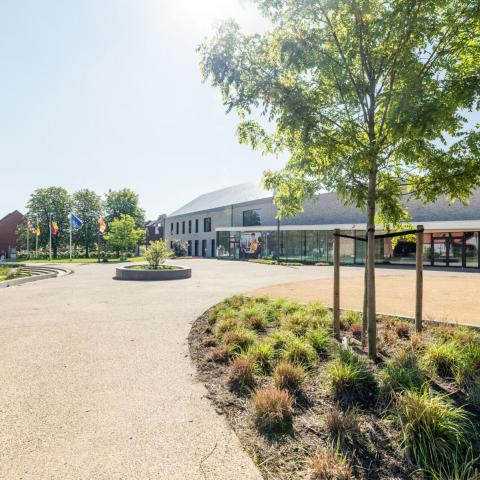 Hombeek