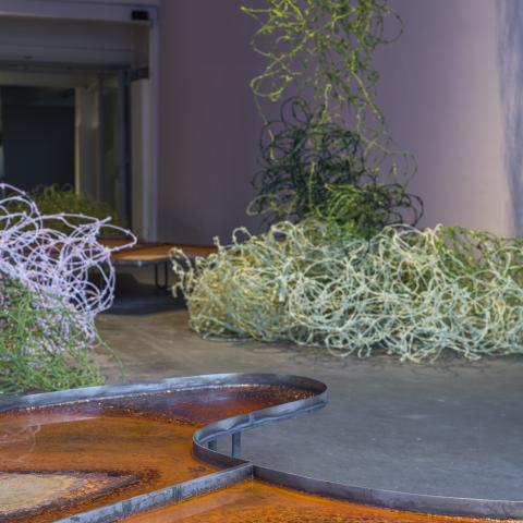 Een grijze ruimte met planten en iets oranje op de voorgrond 