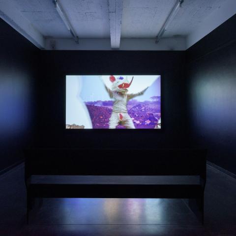 Donkere ruimte met groot scherm waarop iets te zien is 