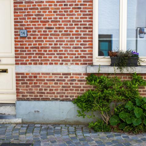Een kleine tegeltuin