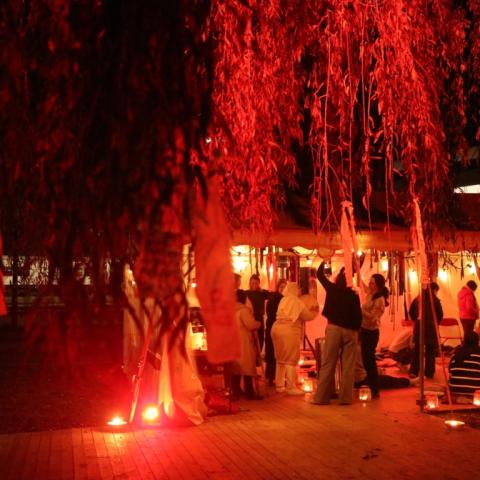 Een tent verlicht met sfeerverlichting onder de wilgenboom aan Hanswijkdries in wijk Arsenaal